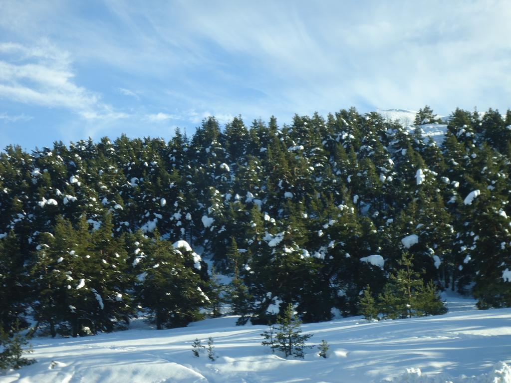 Apartment Face Aux Pistes Greolieres les Neiges Exterior photo